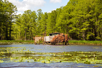 Duck Blind