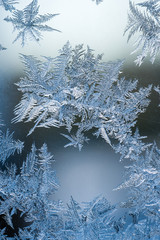 szadź na szybie © Kuba Zdanowicz