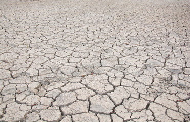 Dry land. Cracked ground background.