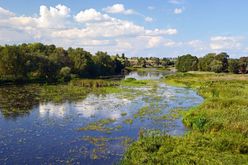 Fototapeta na wymiar Rural river landscape