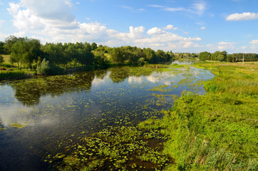 Fototapeta na wymiar Rural river landscape