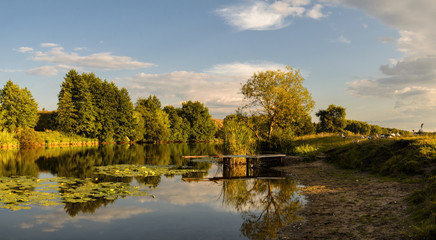 Rural sunset geese landscape