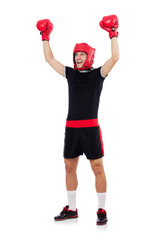 Funny boxer isolated on the white