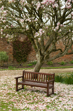 PARK BENCH