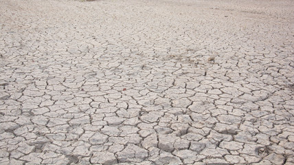 Dry land. Cracked ground background.