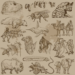 Animals - Hand drawn vector pack