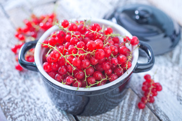 fresh red currant