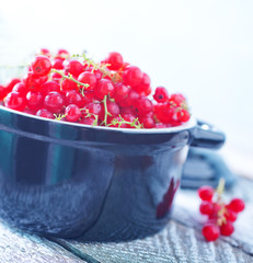 fresh red currant