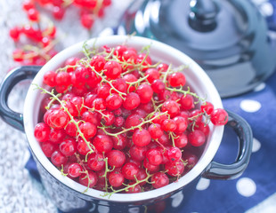 fresh red currant