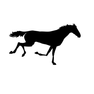 silhouette of a horse