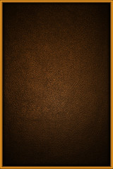 brown leather background in a gold frame