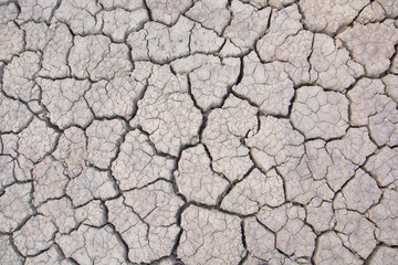 Dry land. Cracked ground background.