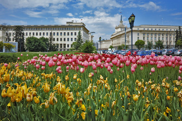 Spring Landscape of Square kniaz Alexander first