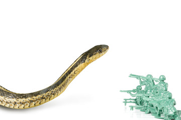 Army Men Attack Snake