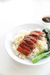 roast duck over rice