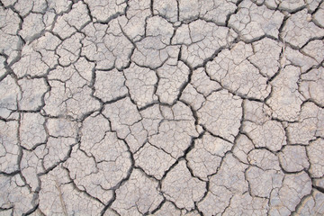 Dry land. Cracked ground background.