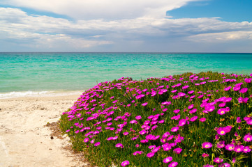 The famous beach at Halkidiki Peninsula, Greece