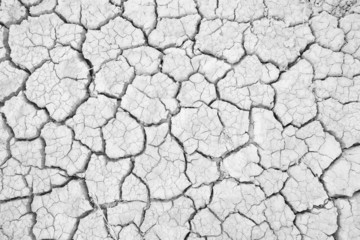 Dry land. Cracked ground background.