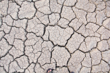 Dry land. Cracked ground background.