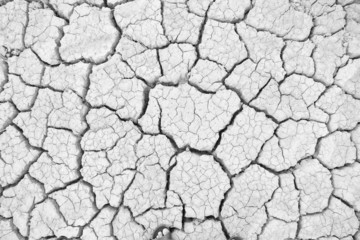 Dry land. Cracked ground background.