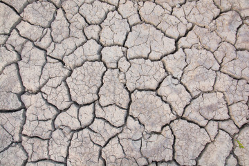 Dry land. Cracked ground background.