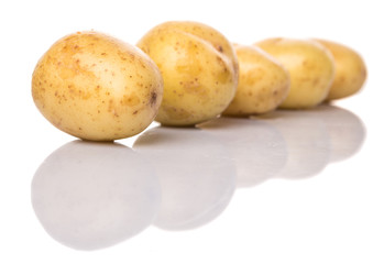Baby potatoes over white background