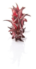Roselle fruit over white background