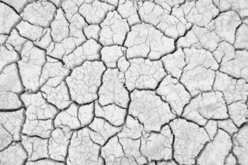 Dry land. Cracked ground background.