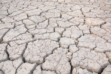 Dry land. Cracked ground background.