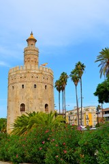 Fototapeta na wymiar Spain Seville Torre del Oro