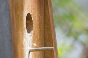 Nature Abstract: Close Look at a Wooden Birdhouse