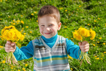 Little boy with bunch of dandelions