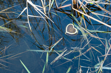 serce w wodzie © Kuba Zdanowicz