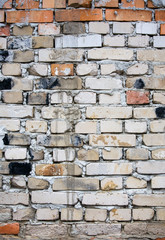 ceglana ściana © Kuba Zdanowicz