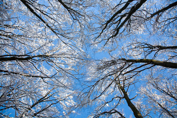 Bieszczady zimą