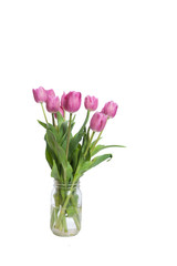 Jar full of pink tulips