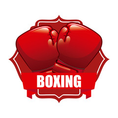 boxing sport