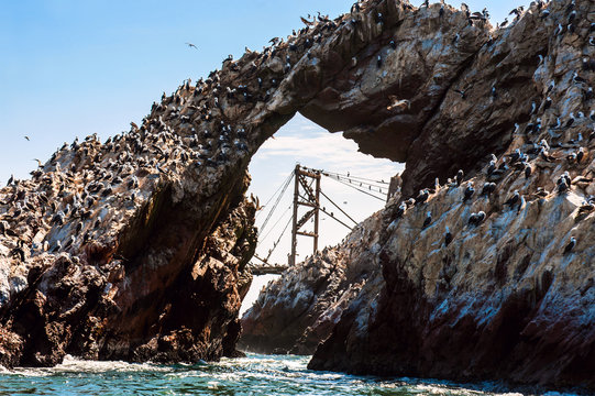 Ballestas Islands, Paracas National Reserve