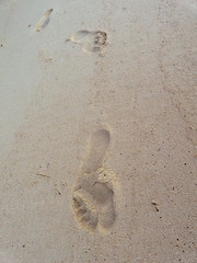 Foot traces on sand
