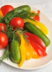 Fresh cucumbers, tomatoes, peppers and dill. Vertical shot.