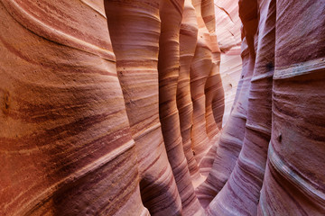 Zebra Slot Canyon