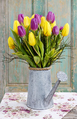 Bouquet of yellow and violet tulips in silver watering can