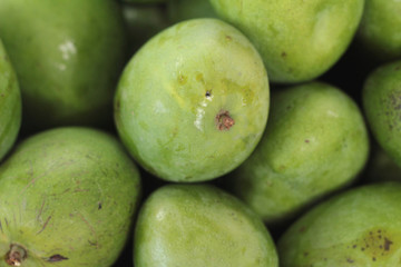 mango fruit