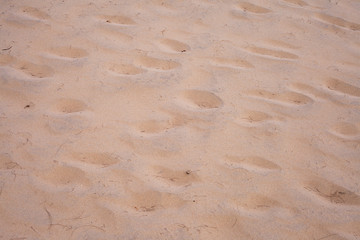 Sand beach