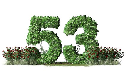 

Number 53, alphabet of green ivy leaves - isolated