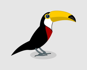 a parrot toucan's profile, on a grey background