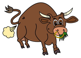 a bio brown bull that eats grass