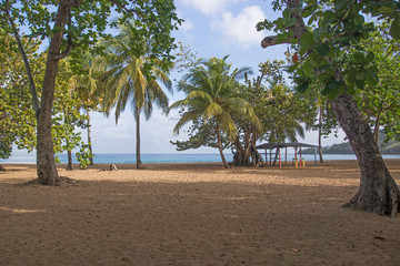 Fototapeta na wymiar Plage de la Grande Anse in Deshaies, Guadeloupe