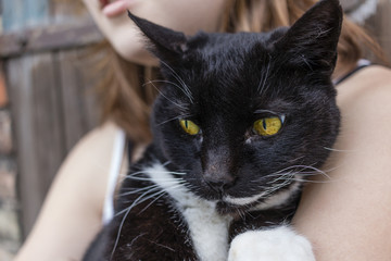 Black cat portrait with teenager