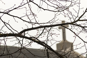 Cross on roof view through window